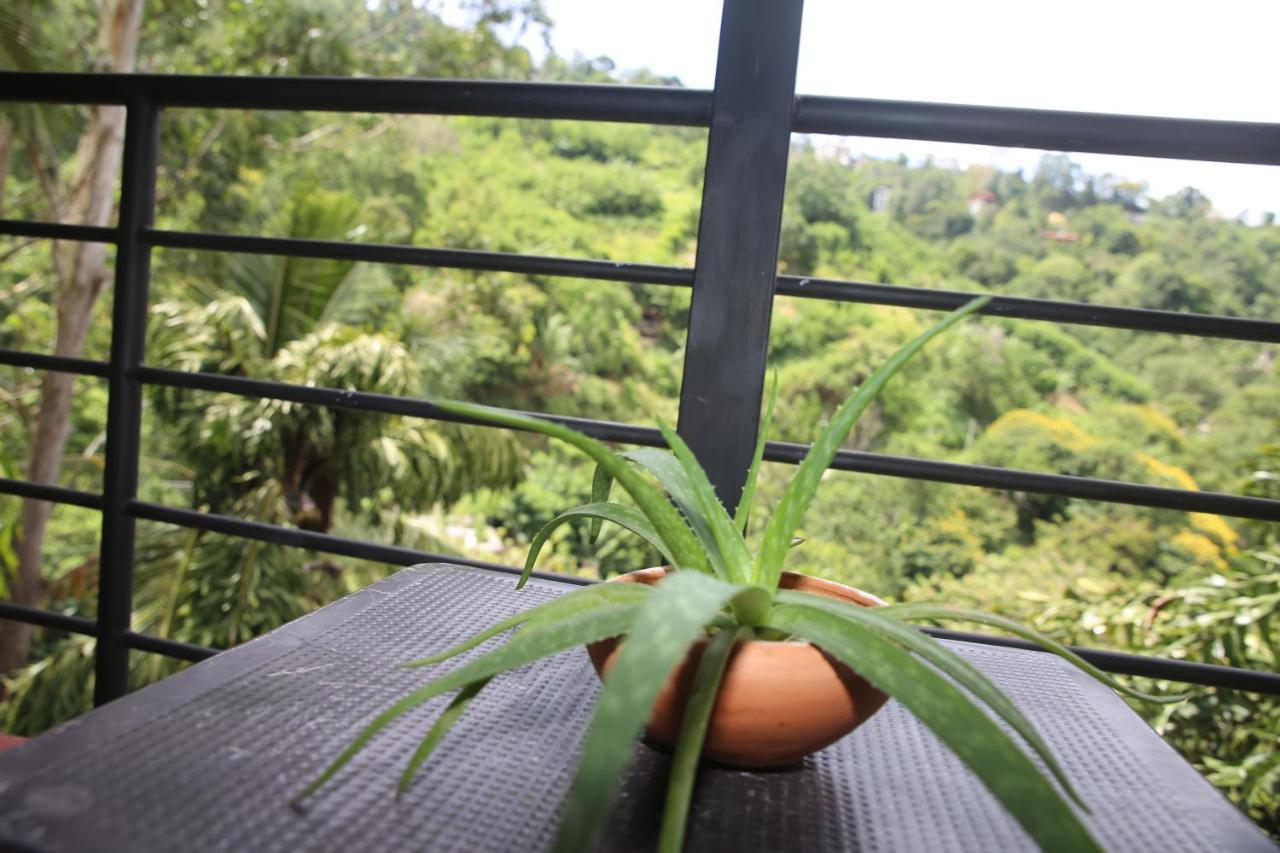 Rawana Mountain View Homestay Ella Kültér fotó